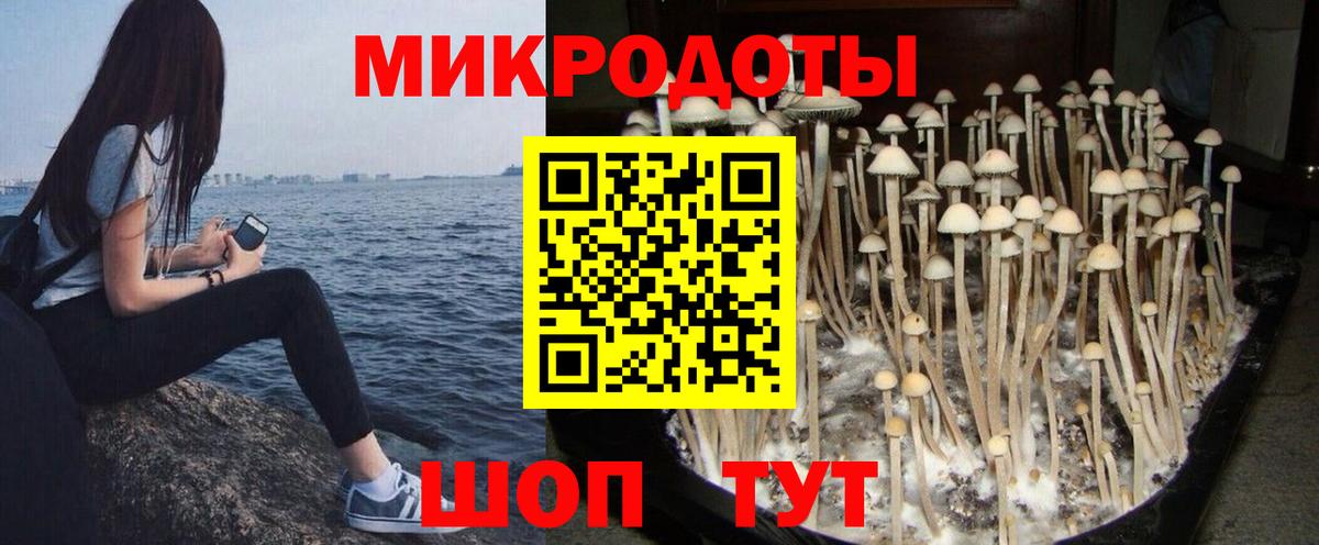 Россошь  Псилоцибиновые грибы прущие грибы  Галлюциногенные грибы Psilocybine cubensis  Вход с VPN 